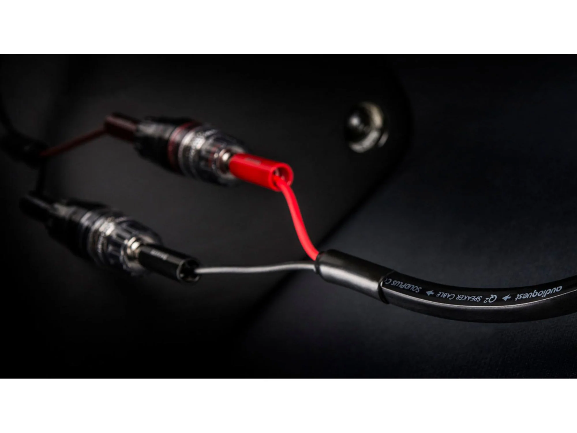 AUDIOQUEST Q2 monté Bananes (2x3m) - Image 4