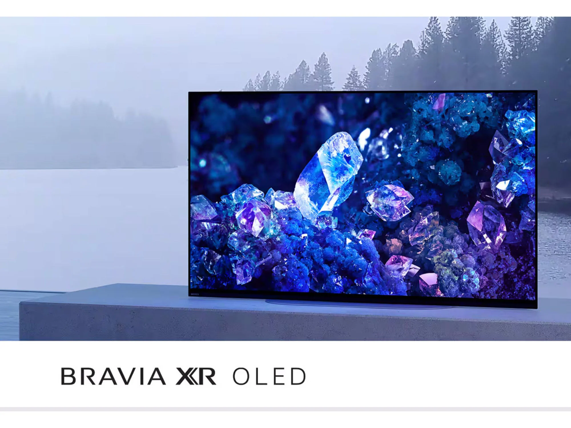 SONY XR-48A90K AEP - Image 4