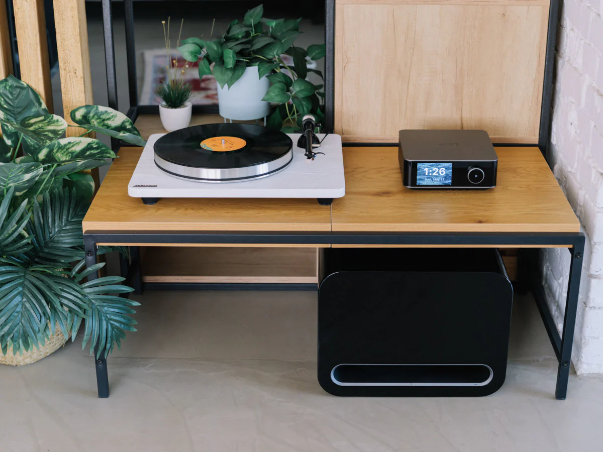 WIIM SUB PRO - Image 6